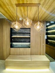 Park Place Residences At Plq (D14), Apartment #517375021